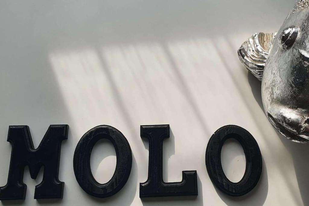 Molo - Residenza Con Accesso Diretto Al Lago لاتيزي المظهر الخارجي الصورة