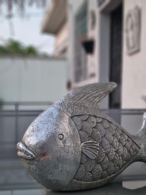 Molo - Residenza Con Accesso Diretto Al Lago لاتيزي المظهر الخارجي الصورة